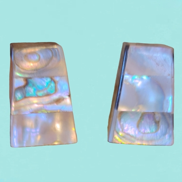 BEAUTIFUL VINTAGE ABALONE MOTHER OF PEARL SALT AND PEPPER SHAKERS - Picture 4 of 6